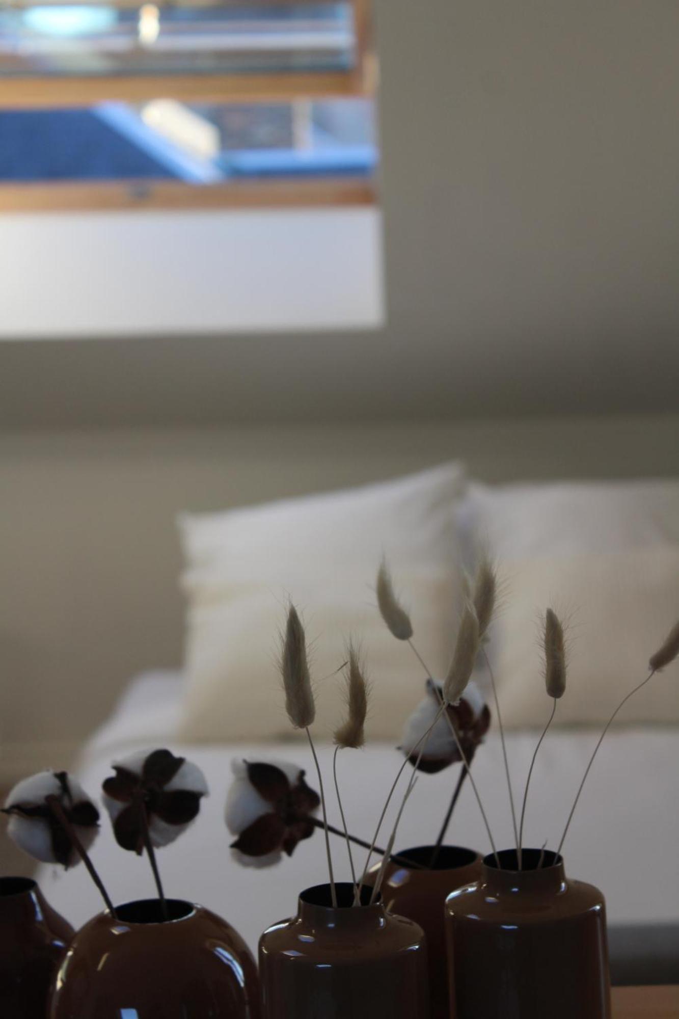 Ginkgo Maison D'Hotes Amiens Rum bild